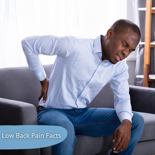Low Back Pain Facts