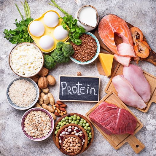 Is protein vital for your health?